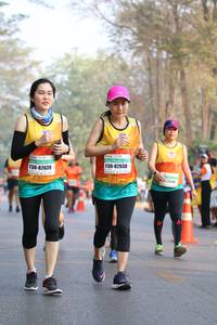 BIB: 82038, 82039
                            <button type="button" onclick="openModal(10356426)" class="btn btn-primary btn-sm float-right btn-popup" data-toggle="modal" data-target=".modal-high-quality">
                        <i class="fas fa-shopping-cart"></i> Add to Cart
                    </button>
                                            <button type="button" onclick="isThisMe(10356426, true)" class="btn btn-success btn-sm float-right btn-popup btn-isme hidden" data-toggle="tooltip" data-placement="bottom" title="นี่คือรูปของคุณใช่ไหม คลิกที่นี่เพื่อเอาเข้าอัลบั้ม">
                        <i class="fas fa-plus"></i> Add to album
                    </button>
                    <button type="button" onclick="isThisMe(10356426, false)" class="btn btn-warning btn-sm float-right btn-popup btn-isnotme hidden">
                        <i class="fas fa-ban"></i> Remove from album
                    </button>
